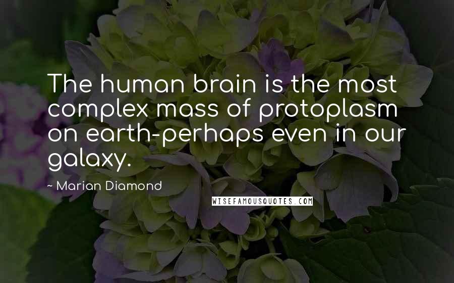 Marian Diamond Quotes: The human brain is the most complex mass of protoplasm on earth-perhaps even in our galaxy.