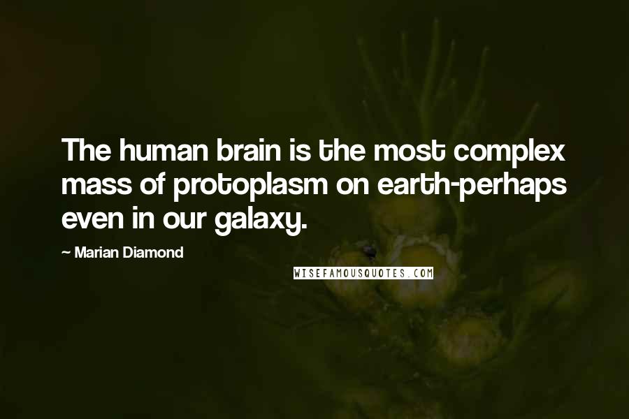 Marian Diamond Quotes: The human brain is the most complex mass of protoplasm on earth-perhaps even in our galaxy.