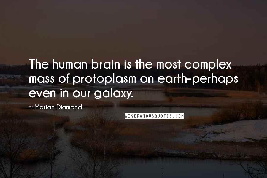 Marian Diamond Quotes: The human brain is the most complex mass of protoplasm on earth-perhaps even in our galaxy.