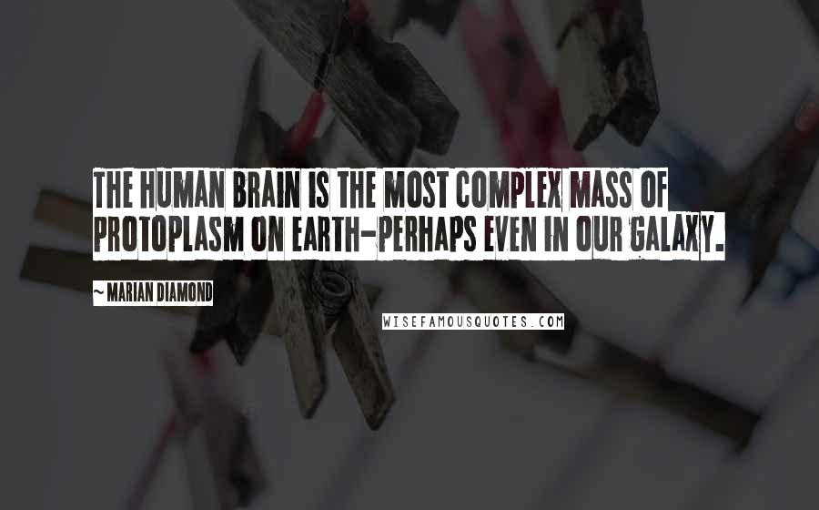 Marian Diamond Quotes: The human brain is the most complex mass of protoplasm on earth-perhaps even in our galaxy.