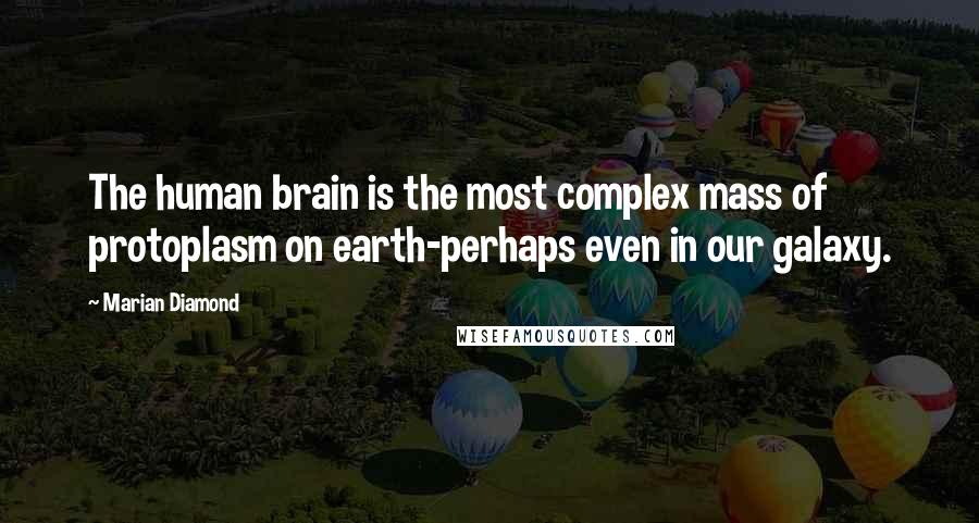 Marian Diamond Quotes: The human brain is the most complex mass of protoplasm on earth-perhaps even in our galaxy.