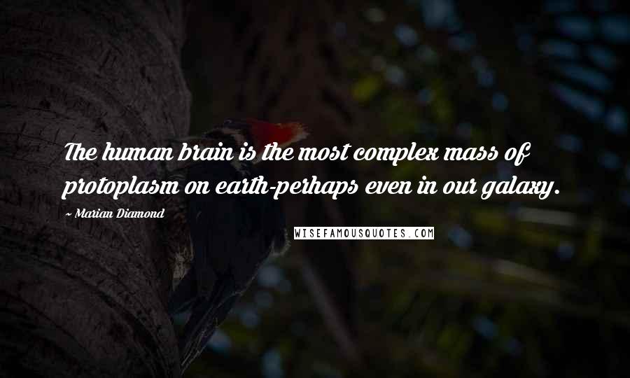 Marian Diamond Quotes: The human brain is the most complex mass of protoplasm on earth-perhaps even in our galaxy.