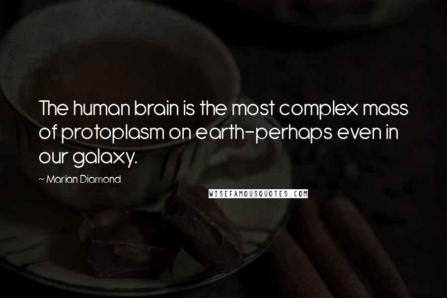 Marian Diamond Quotes: The human brain is the most complex mass of protoplasm on earth-perhaps even in our galaxy.