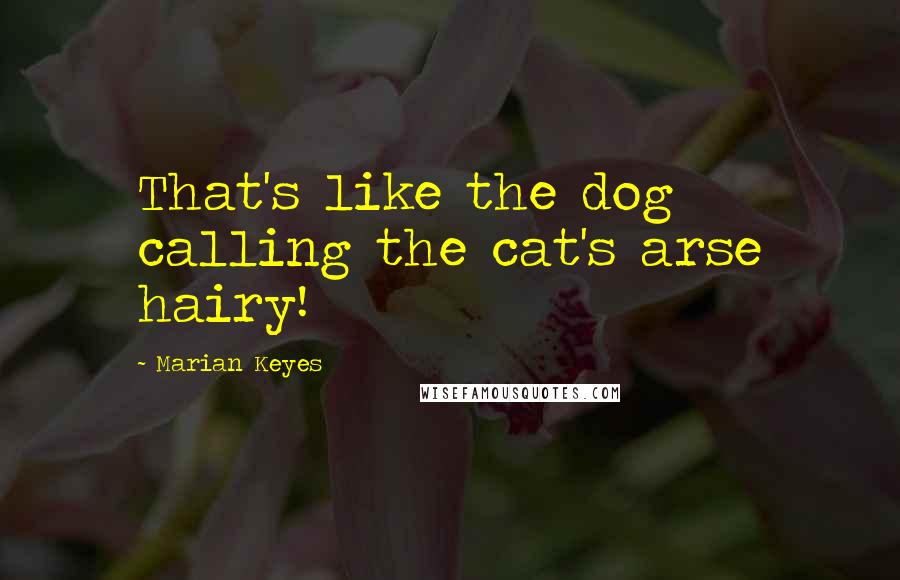 Marian Keyes Quotes: That's like the dog calling the cat's arse hairy!