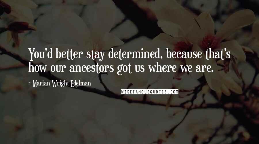 Marian Wright Edelman Quotes: You'd better stay determined, because that's how our ancestors got us where we are.