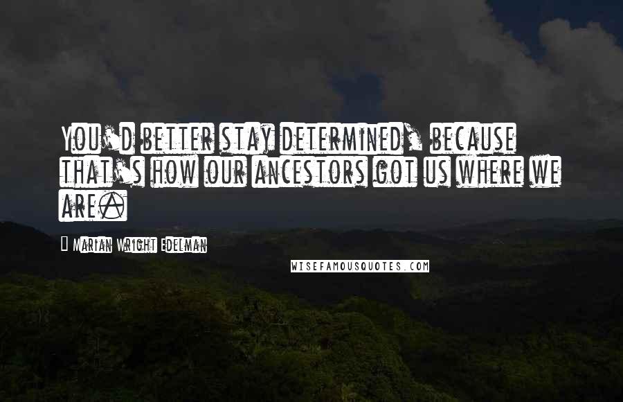 Marian Wright Edelman Quotes: You'd better stay determined, because that's how our ancestors got us where we are.