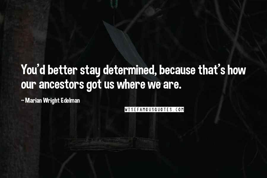 Marian Wright Edelman Quotes: You'd better stay determined, because that's how our ancestors got us where we are.