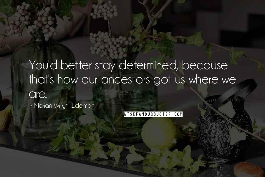 Marian Wright Edelman Quotes: You'd better stay determined, because that's how our ancestors got us where we are.