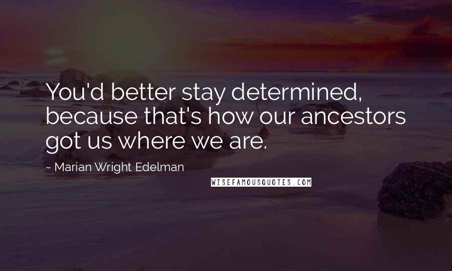 Marian Wright Edelman Quotes: You'd better stay determined, because that's how our ancestors got us where we are.