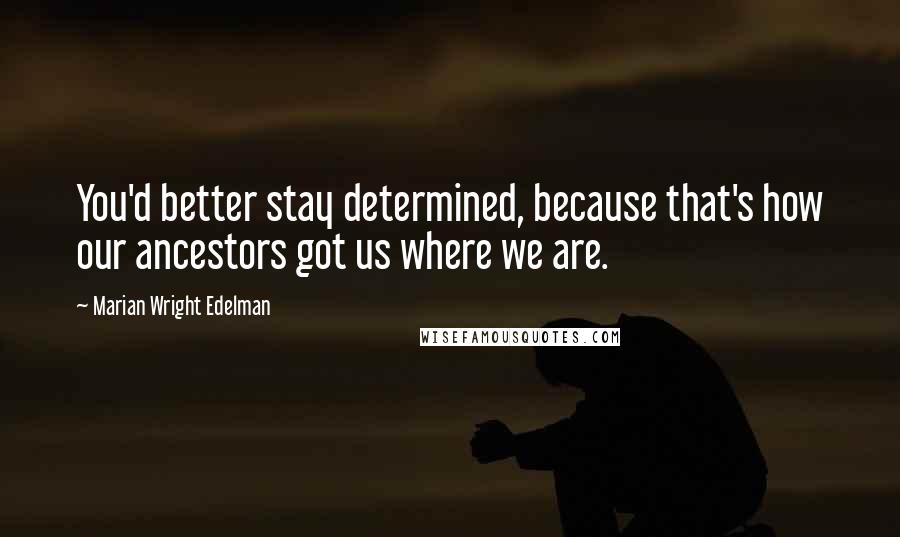 Marian Wright Edelman Quotes: You'd better stay determined, because that's how our ancestors got us where we are.
