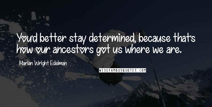 Marian Wright Edelman Quotes: You'd better stay determined, because that's how our ancestors got us where we are.