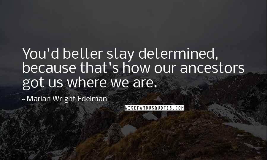 Marian Wright Edelman Quotes: You'd better stay determined, because that's how our ancestors got us where we are.