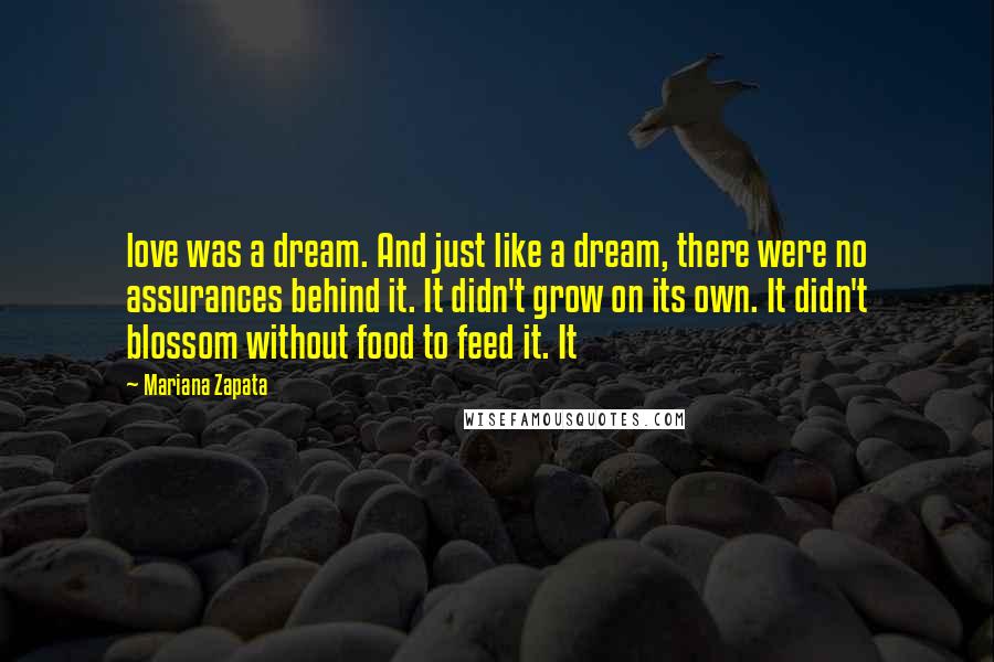 Mariana Zapata Quotes: love was a dream. And just like a dream, there were no assurances behind it. It didn't grow on its own. It didn't blossom without food to feed it. It