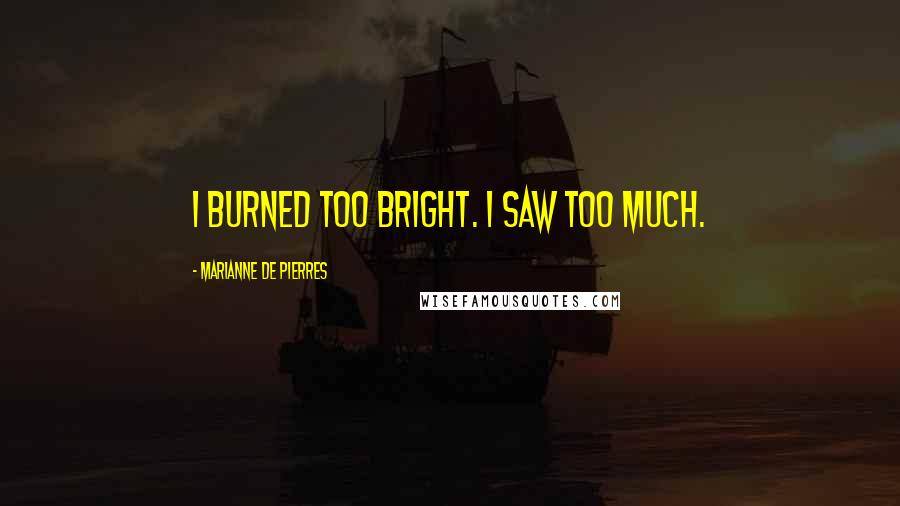 Marianne De Pierres Quotes: I burned too bright. I saw too much.