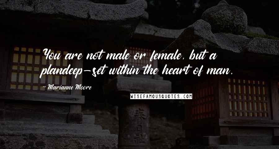 Marianne Moore Quotes: You are not male or female, but a plandeep-set within the heart of man.