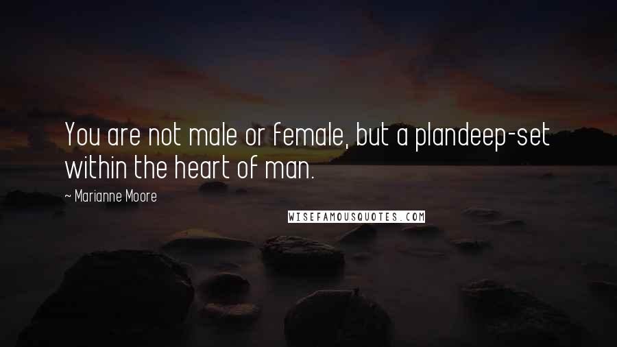 Marianne Moore Quotes: You are not male or female, but a plandeep-set within the heart of man.