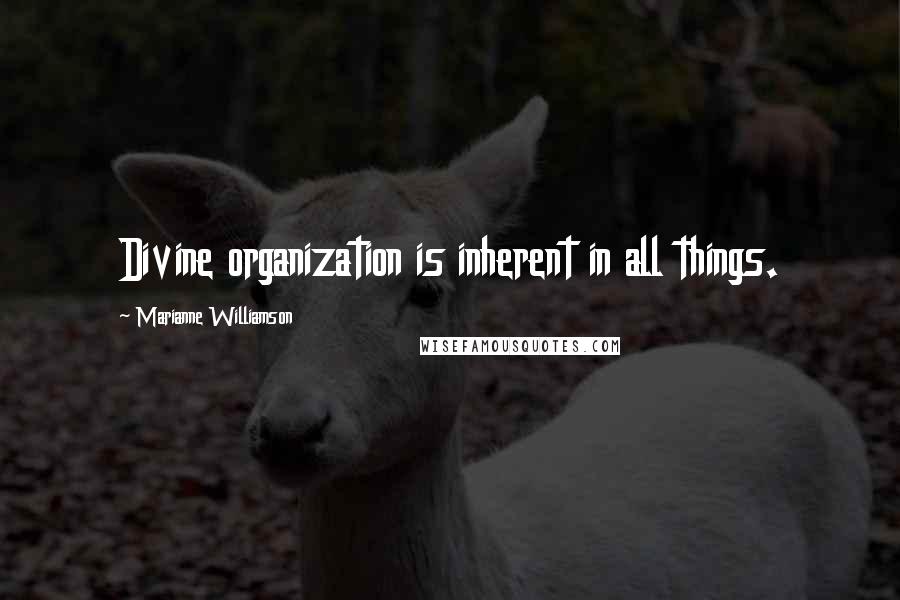Marianne Williamson Quotes: Divine organization is inherent in all things.