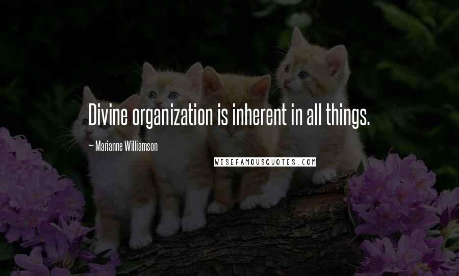 Marianne Williamson Quotes: Divine organization is inherent in all things.