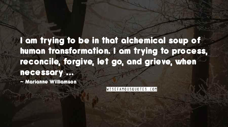 Marianne Williamson Quotes: I am trying to be in that alchemical soup of human transformation. I am trying to process, reconcile, forgive, let go, and grieve, when necessary ...