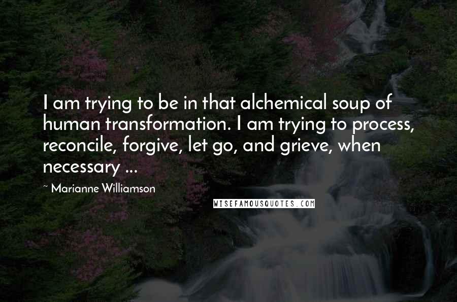 Marianne Williamson Quotes: I am trying to be in that alchemical soup of human transformation. I am trying to process, reconcile, forgive, let go, and grieve, when necessary ...