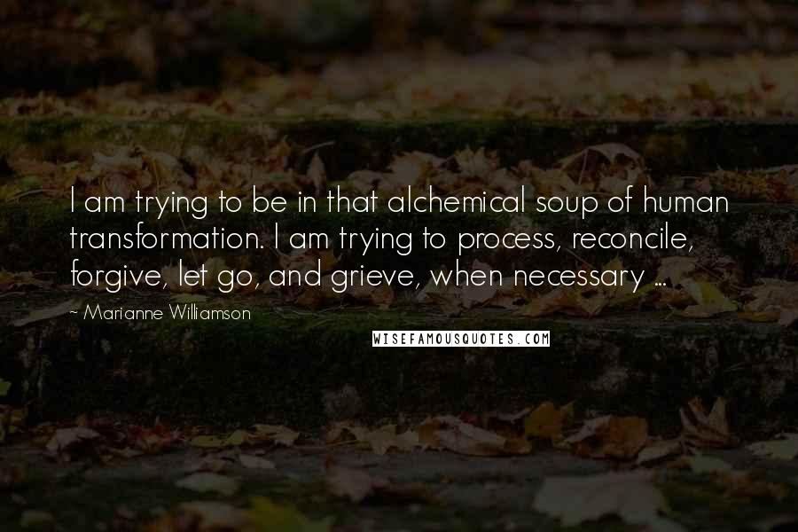 Marianne Williamson Quotes: I am trying to be in that alchemical soup of human transformation. I am trying to process, reconcile, forgive, let go, and grieve, when necessary ...