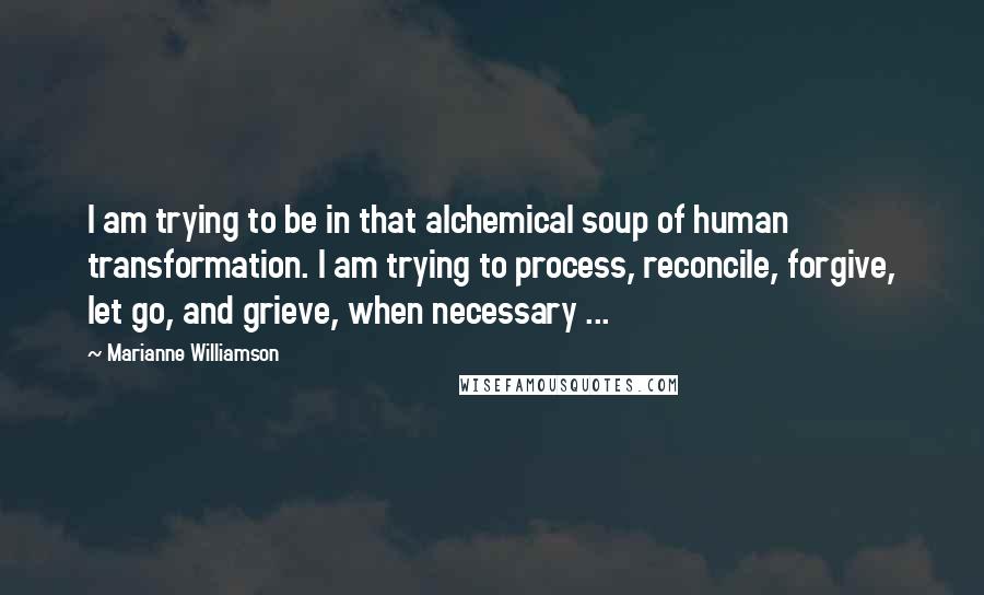 Marianne Williamson Quotes: I am trying to be in that alchemical soup of human transformation. I am trying to process, reconcile, forgive, let go, and grieve, when necessary ...