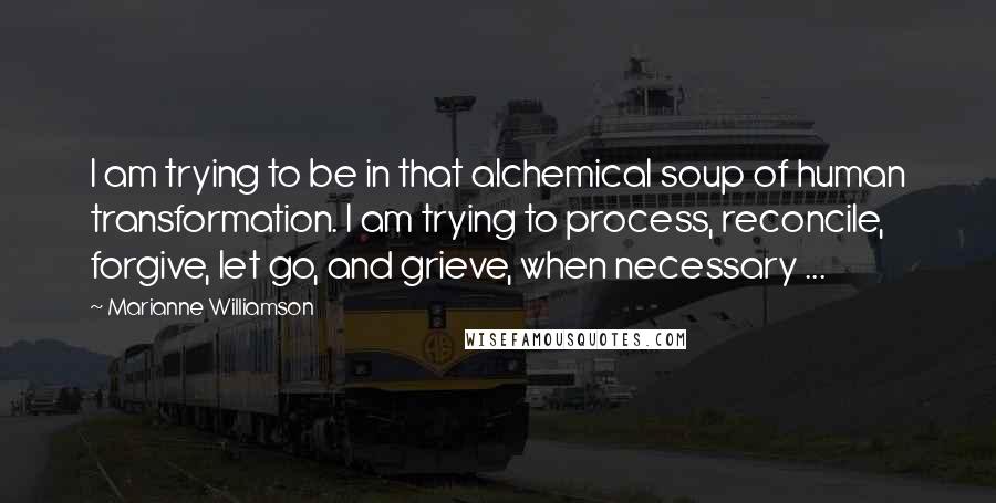 Marianne Williamson Quotes: I am trying to be in that alchemical soup of human transformation. I am trying to process, reconcile, forgive, let go, and grieve, when necessary ...