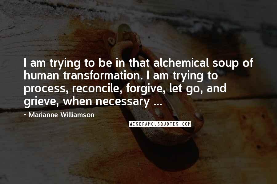 Marianne Williamson Quotes: I am trying to be in that alchemical soup of human transformation. I am trying to process, reconcile, forgive, let go, and grieve, when necessary ...