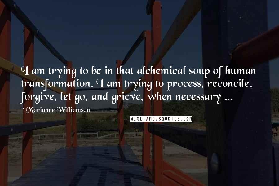 Marianne Williamson Quotes: I am trying to be in that alchemical soup of human transformation. I am trying to process, reconcile, forgive, let go, and grieve, when necessary ...