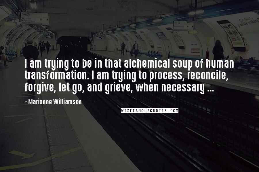 Marianne Williamson Quotes: I am trying to be in that alchemical soup of human transformation. I am trying to process, reconcile, forgive, let go, and grieve, when necessary ...