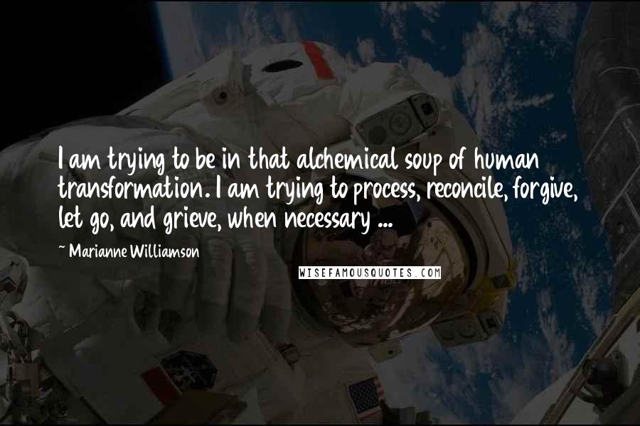 Marianne Williamson Quotes: I am trying to be in that alchemical soup of human transformation. I am trying to process, reconcile, forgive, let go, and grieve, when necessary ...