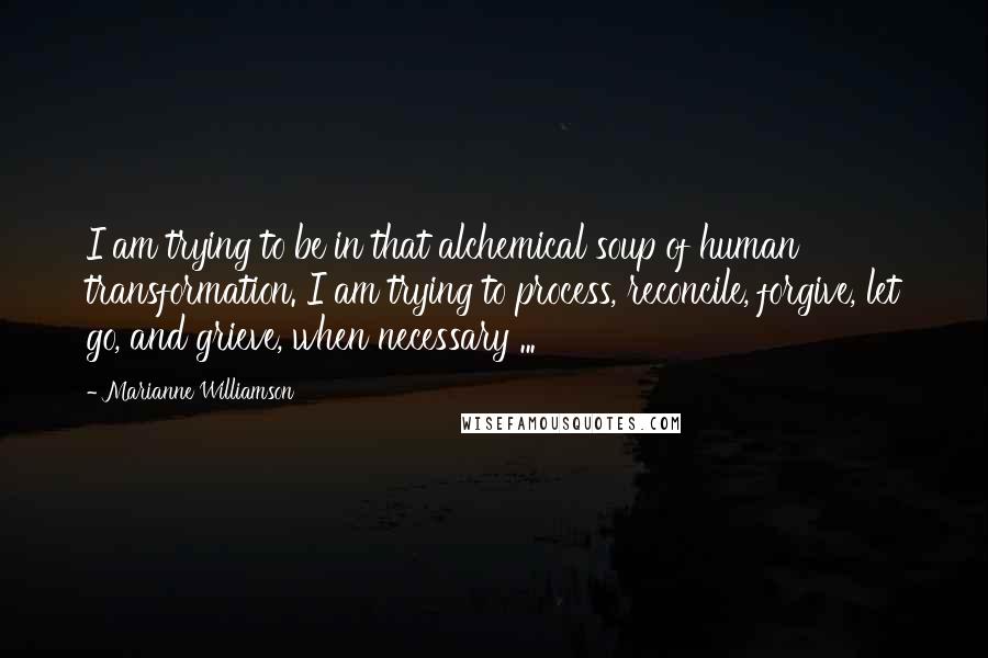 Marianne Williamson Quotes: I am trying to be in that alchemical soup of human transformation. I am trying to process, reconcile, forgive, let go, and grieve, when necessary ...