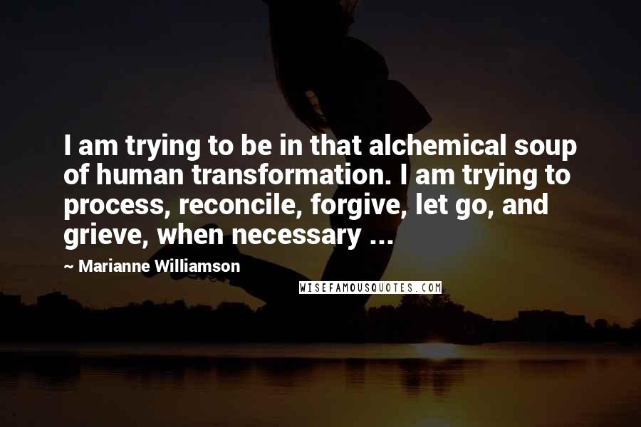 Marianne Williamson Quotes: I am trying to be in that alchemical soup of human transformation. I am trying to process, reconcile, forgive, let go, and grieve, when necessary ...