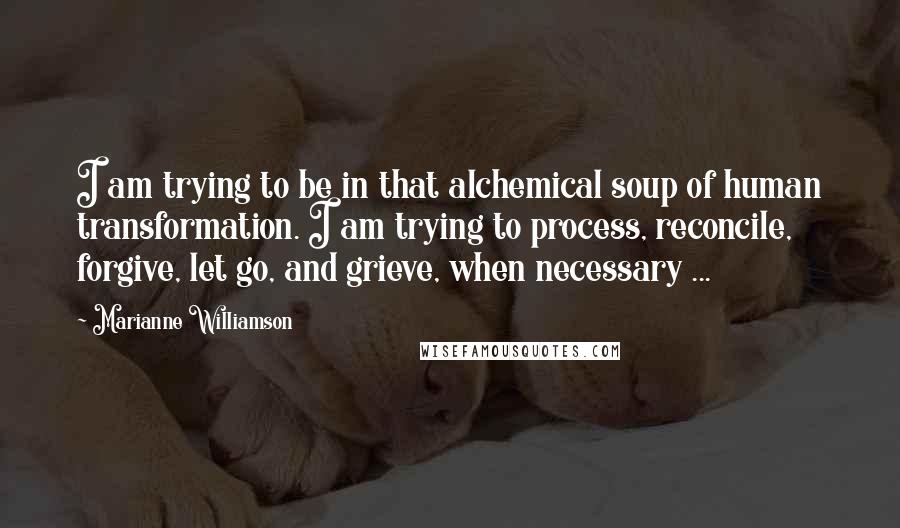 Marianne Williamson Quotes: I am trying to be in that alchemical soup of human transformation. I am trying to process, reconcile, forgive, let go, and grieve, when necessary ...