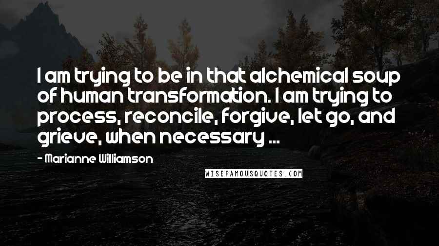 Marianne Williamson Quotes: I am trying to be in that alchemical soup of human transformation. I am trying to process, reconcile, forgive, let go, and grieve, when necessary ...