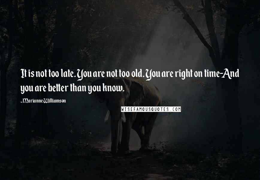 Marianne Williamson Quotes: It is not too late. You are not too old. You are right on time-And you are better than you know.