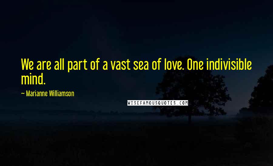 Marianne Williamson Quotes: We are all part of a vast sea of love. One indivisible mind.