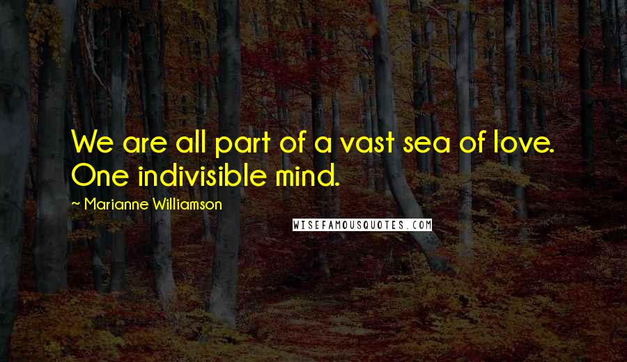 Marianne Williamson Quotes: We are all part of a vast sea of love. One indivisible mind.