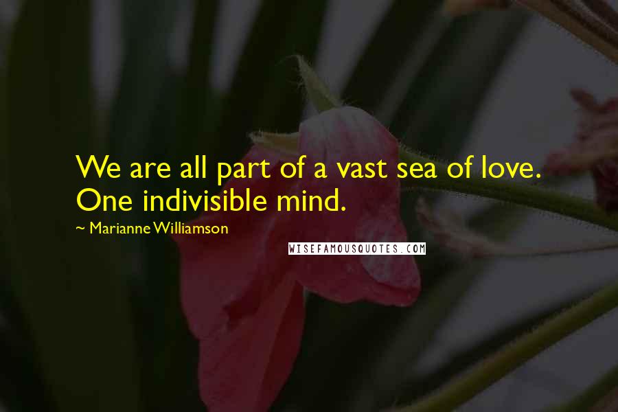 Marianne Williamson Quotes: We are all part of a vast sea of love. One indivisible mind.