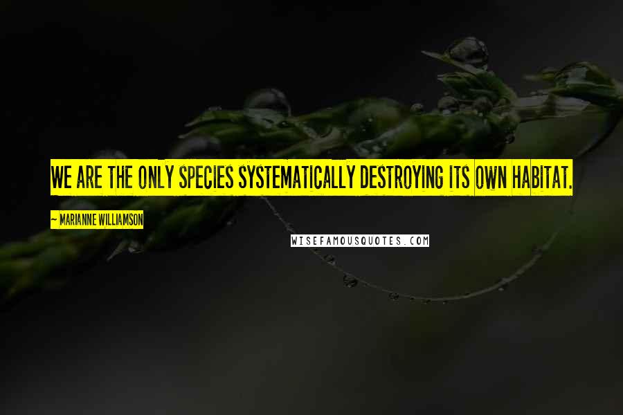 Marianne Williamson Quotes: We are the only species systematically destroying its own habitat.