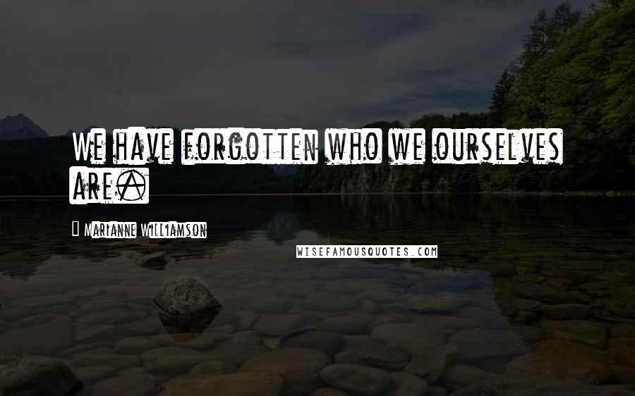 Marianne Williamson Quotes: We have forgotten who we ourselves are.