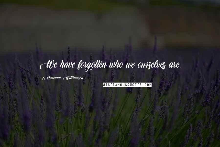 Marianne Williamson Quotes: We have forgotten who we ourselves are.