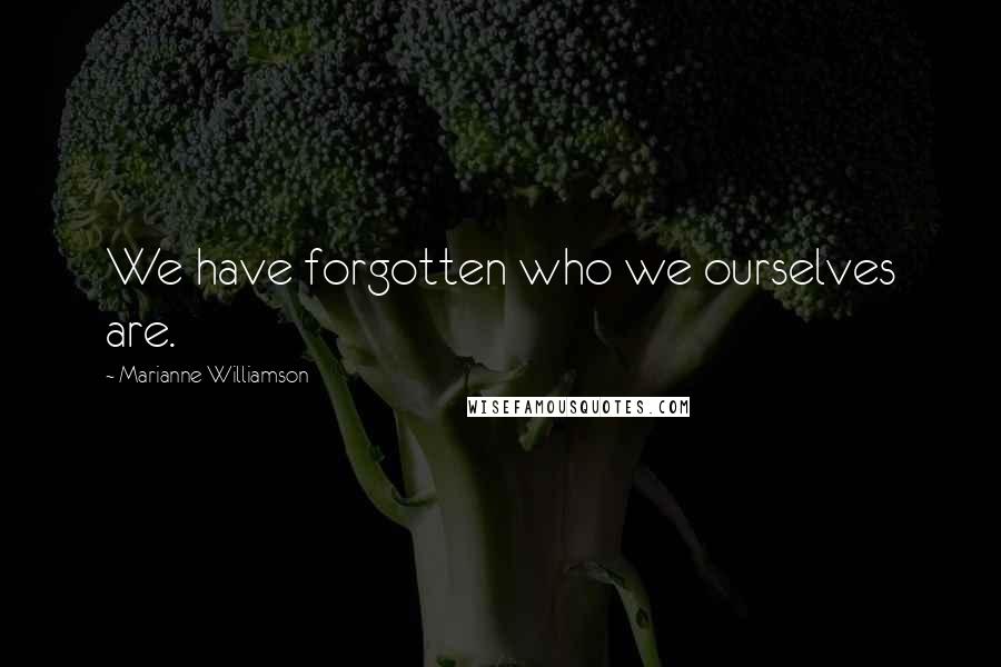 Marianne Williamson Quotes: We have forgotten who we ourselves are.