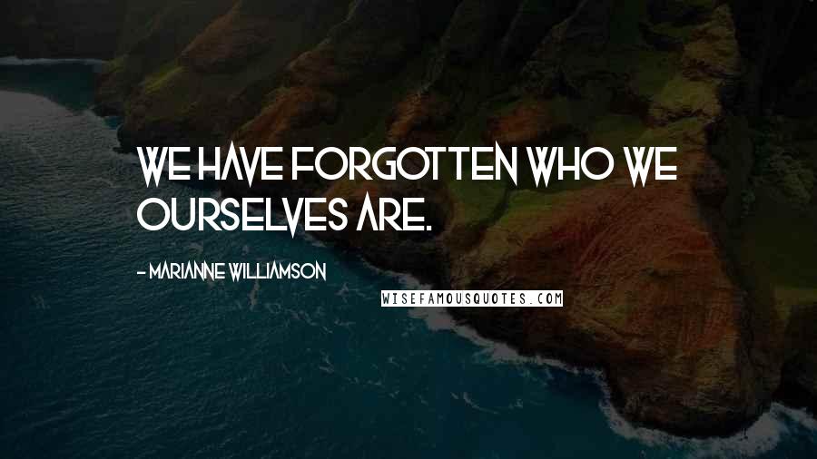 Marianne Williamson Quotes: We have forgotten who we ourselves are.