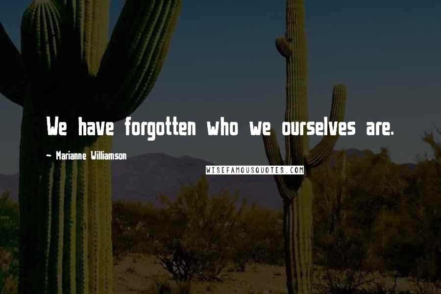 Marianne Williamson Quotes: We have forgotten who we ourselves are.