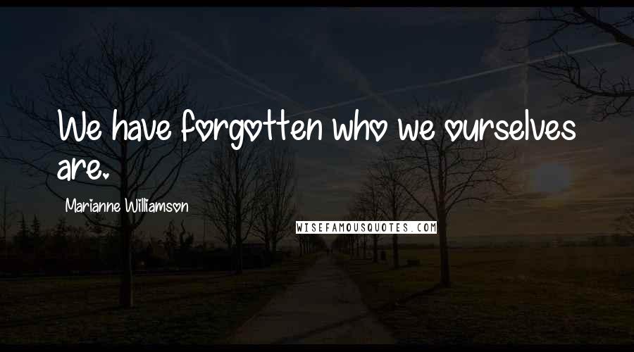 Marianne Williamson Quotes: We have forgotten who we ourselves are.