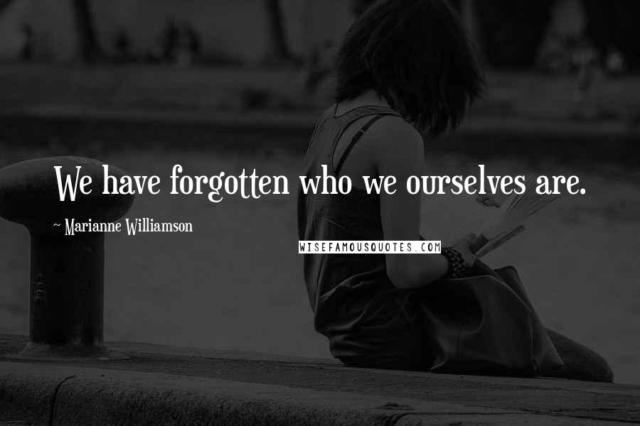 Marianne Williamson Quotes: We have forgotten who we ourselves are.