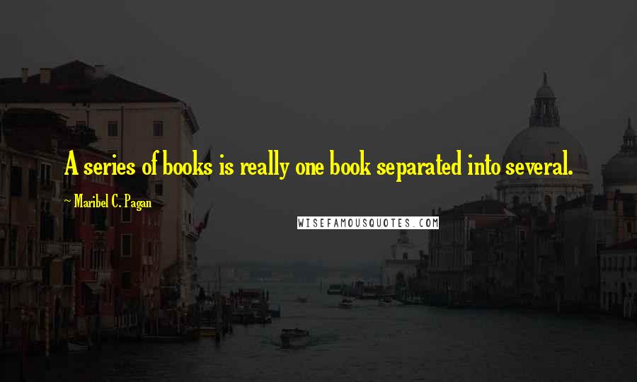 Maribel C. Pagan Quotes: A series of books is really one book separated into several.