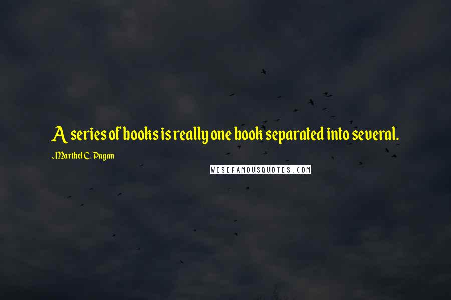 Maribel C. Pagan Quotes: A series of books is really one book separated into several.