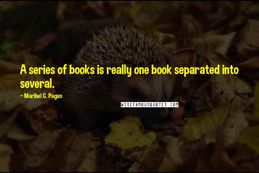 Maribel C. Pagan Quotes: A series of books is really one book separated into several.
